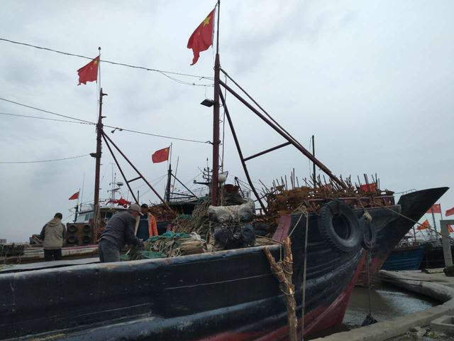 曹妃甸春季妈祖传统庙会,新增首届妈祖女神开海节