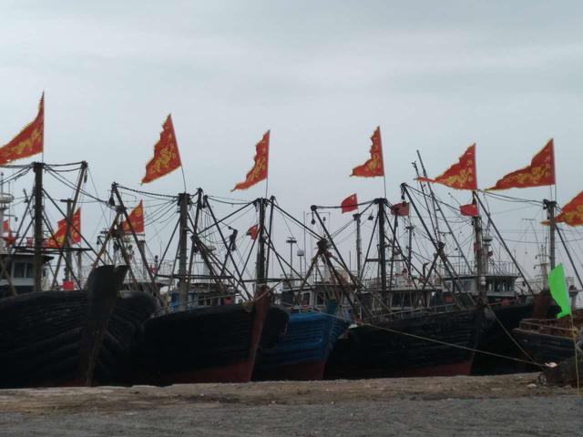 曹妃甸春季妈祖传统庙会,新增首届妈祖女神开海节